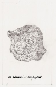 1 CRAYONNE FOSTERITE TIMBRE DE GAUCHE c