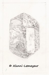 1 CRAYONNE FOSTERITE TIMBRE DE GAUCHE c2