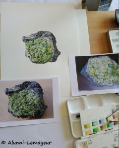 1 CRAYONNE FOSTERITE TIMBRE DE GAUCHE c234