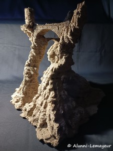 IMG_20260523_084735