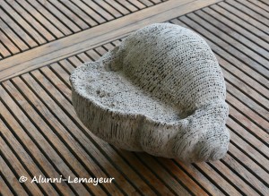 IMG_20260819_130336 v