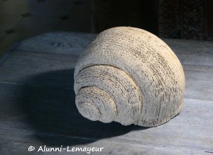 IMG_20260819_130336 vv